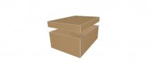 0306 Side Slotted Container with ES Cover - model