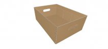 0430 Tray with Carrying Handle - model